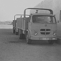 512COMBOY ARGUB